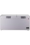 643L Gross Capacity - Double Door Low Frost Chest Freezer