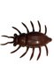 Maybug 3.3cm #012 Chaos 3.3cm #012