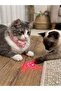 Uninterrupted Hunting Experience: Adjustable Cat Laser Collar - 2