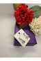 Xuping Jewelry Series Simple New Model Hoop Steel Earrings - 3