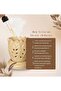 Ceramic Essential Oil Burner and Candle Warmer - 2