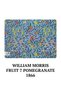 William Morris Set of 4 Notebooks - the Kelmscott Collection - Unlined - 64 Pages - 14X21Cm - 5