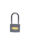 Ymk Eco Gray Casting Long Hook Padlock 32mm