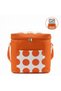 Thermal Bag 18 Lt – Cool-Keeping Ice Cooler Bag for Beach and Picnic