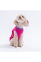 Fuchsia-Fuchsia Just Smile T-Shirt Cat Dog T-Shirt-Cat Dog Outfit - 2