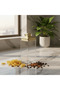 Acrylic Storage Canister with Premium Gold Lid Organizer Container 900ml - 2