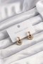 316L Steel Gold Color Zircon Stone Hoop Model Earrings