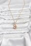 316L Steel Chain Gold Color Pink Swan Model Zircon Stone Women's Necklace - 2