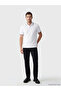 Black Regular Fit Gabardine Men's Chino Trousers - 5