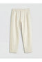 Beige Standard Fit Pleated Men's Chino Trousers - 3