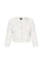 Blazer - 2