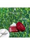Plant collagen supported plumping and regenerating night care cream - 3