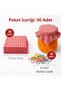 30 Jar Lid Covers / Red Gingham and Colored Binding Rubber - 2