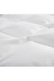 King Size Cappuccino Beige And White Ruffle Duvet Cover Set - 2