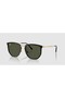 Unisex Glasses Rb4451-630631 - 2