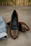 Scenic Brown Buckle (4cm) Pointed Toe Heeled Shoes - 7