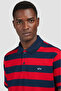 Men's Regular Cut Striped Logo Embroidered Cotton Short Sleeve Navy Blue-Red Polo Collar T-Shirt - 4