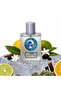 Frozen Invictus (FA015) EDP 100ml for Men by | Fresh Marine Woody Fragrance | Grapefruit, Marine Notes & Amberwood | Long Lasting Eau De Parfum - 2