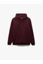 Reglan Sleeve Cotton Blend Hooded Basic Hoodie with Raised Stitch Detail - 3
