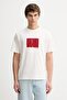 Ss 20S Whsl Sp Calvin Maze Graph