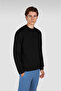 Men's Regular Fit Round Neck Shark Logo Embroidered Long Sleeve Black Sweatshirt