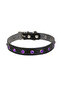 Stoned Cat and Yru Dog Collar 1*23 cm Medium - 5