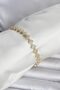 Brass Gold Color Clover Model Row of Zircon Stones Women's Bracelet - Ebj260418W41903