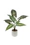 55cm Artificial Alocasia Tree Faux Plant with White Pot for Indoor Office Garden patio Home Decor