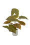 55cm Artificial Caladium Bicolor Tree Faux Plant with White Pot for Indoor Office Garden Home Decor