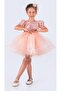 Girl's Salmon Sequined Tutu Dress 2-Piece-1701S - 5
