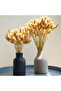 120PCS Bunny Tails Dried Flowers, Dried Rabbit Tail Grass Bouquet for Wedding Home Party Decor - 5