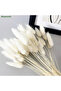 120PCS Bunny Tails Dried Flowers, Dried Rabbit Tail Grass Bouquet for Wedding Home Party Decor - 7