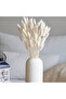 120PCS Bunny Tails Dried Flowers, Dried Rabbit Tail Grass Bouquet for Wedding Home Party Decor - 4