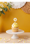 Daisy Themed Birthday Toothpick Set - Cake Decoration with Daisy Figures - Daisy Toothpick Set Presentation - 3