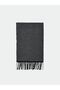 LCW ACCESSORIES Tassel Detailed Patterned Men's Scarf - 2