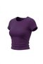 Women's Purple Crew Neck Lycra Short Sleeve Body Crop T-Shirt - 7