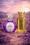 Oud Lavender EDP 75ml with Exotic EDP 100ml – Special Combo Fragrance Perfume Set for Men & Women - 2