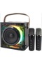 Bluetooth Karaoke Speaker with 2 Mics & LED Lights