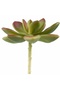 Planta artificiala suculenta model76 - 5