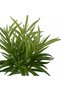 Planta artificiala suculenta model22 - 6