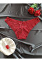 Lara Full Lace Front Bow Detailed Women's Underwear Bikini Model