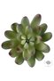 Planta artificiala suculenta model20
