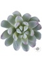 Planta artificiala suculenta model43