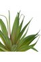 Planta artificiala suculenta model21 - 6