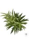 Planta artificiala suculenta model22