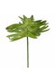 Planta artificiala suculenta model39 - 5