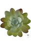 Planta artificiala suculenta model14