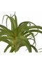 Planta artificiala suculenta model47 - 6