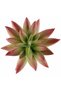Planta artificiala suculenta model63 - 4