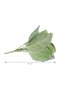 Artificial sage argentea - 7